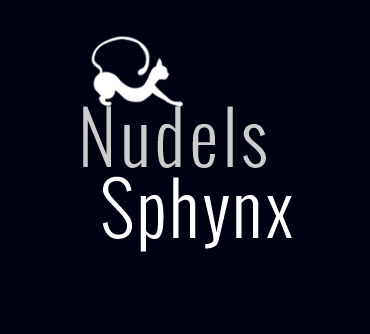 Nudels Spynx Cats